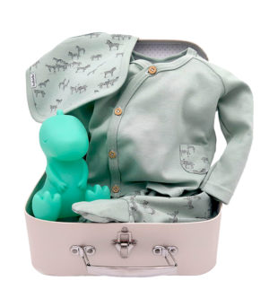 Canastilla maleta “Mis Gasitas” regalo bebé